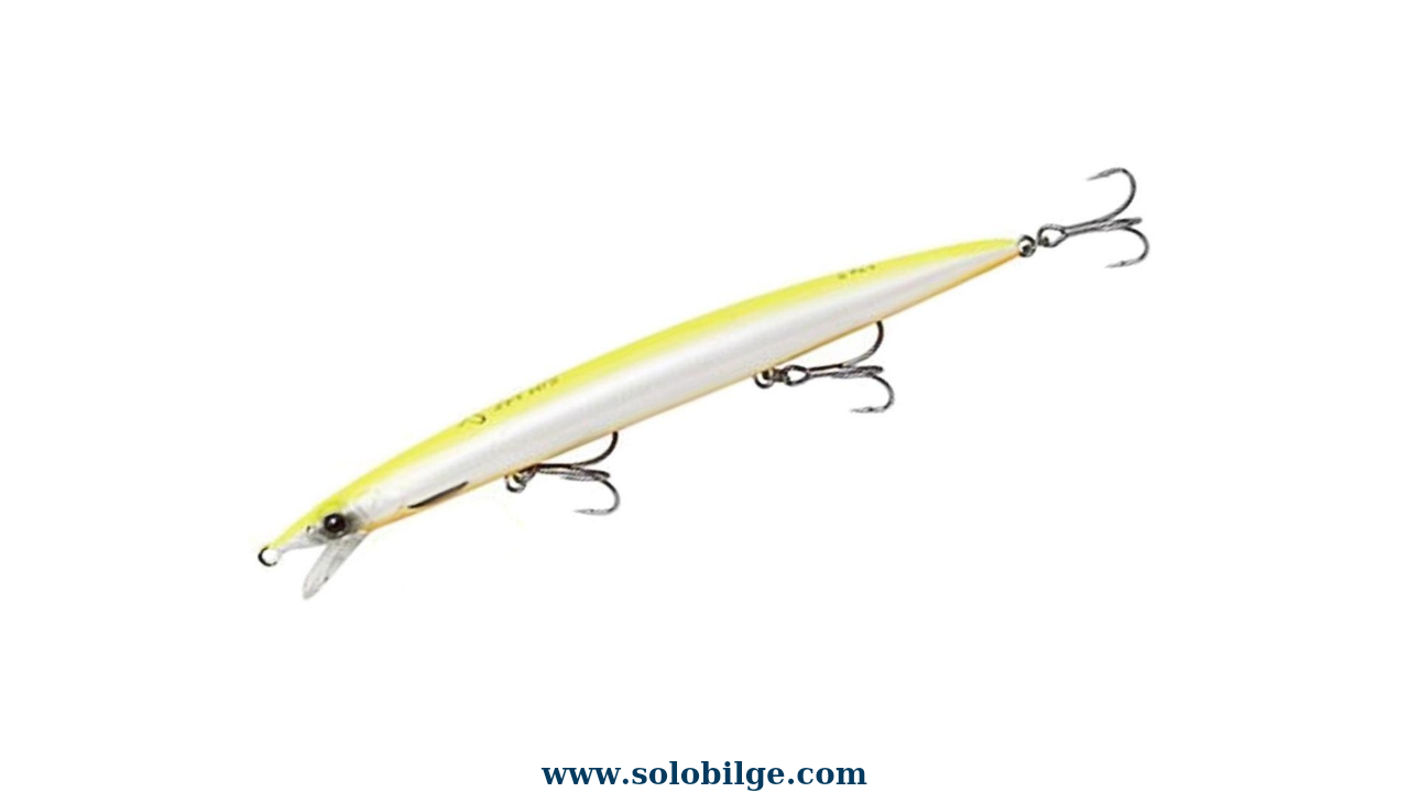 Savage 175 mm Baraküda Sahte Tavsiye Baraküda sahte, maket balık, rapala, yem tavsiye ve önerisi.